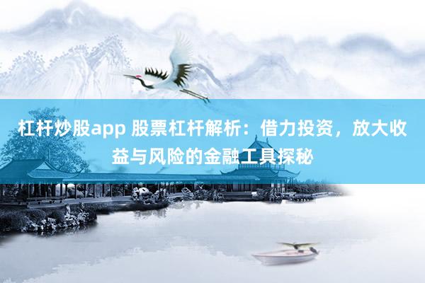 杠杆炒股app 股票杠杆解析：借力投资，放大收益与风险的金融工具探秘
