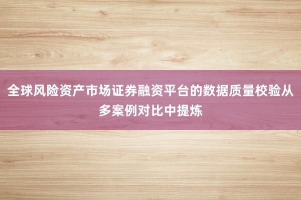 全球风险资产市场证券融资平台的数据质量校验从多案例对比中提炼