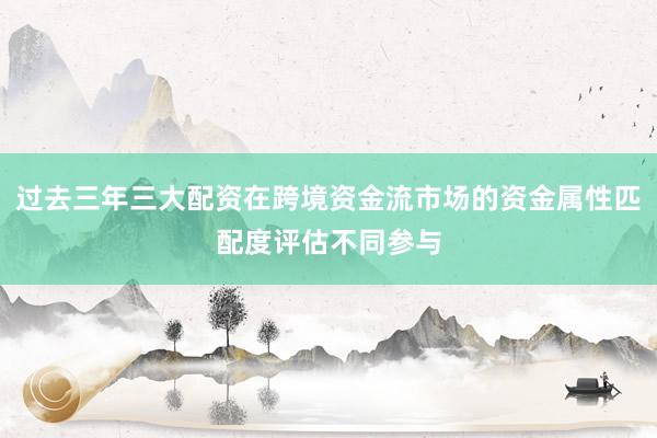 过去三年三大配资在跨境资金流市场的资金属性匹配度评估不同参与